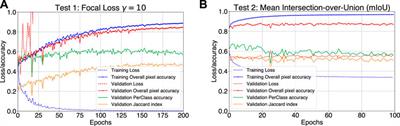 Towards the Identification and Classification of Solar Granulation Structures Using Semantic Segmentation